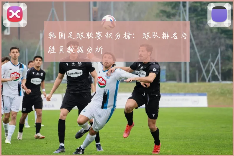 韩国足球联赛积分榜：球队排名与胜负数据分析
