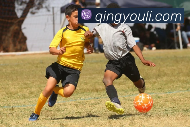 beat365平台唯一官网平台生态图